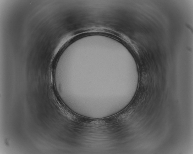 X0000097811368200804041327