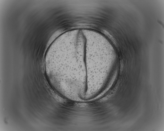 X0000097811370200804041327