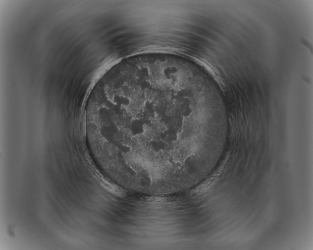 X0000097811371200804041327