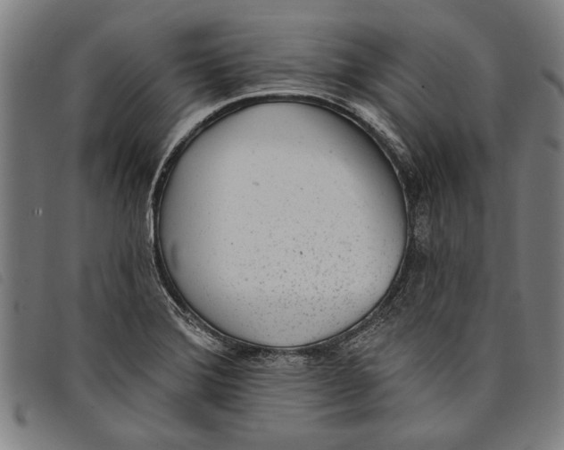 X0000097811372200804041327