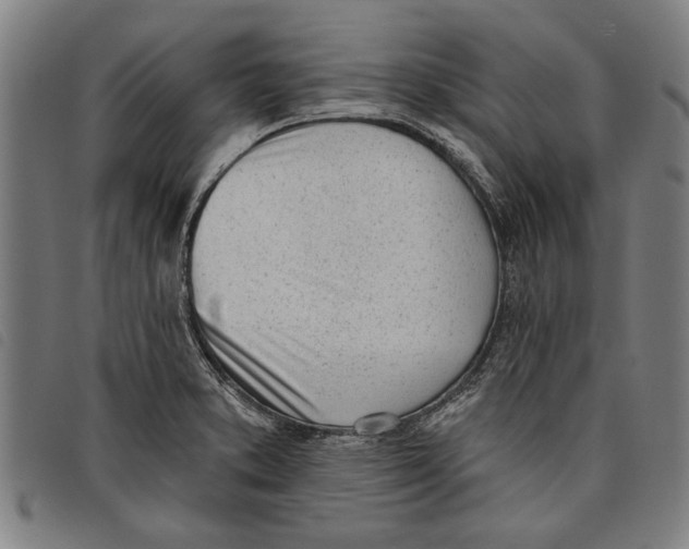 X0000097811373200804041327