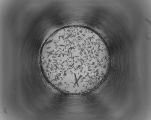 X0000097811374200804041327