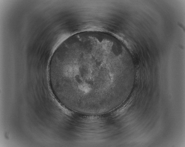 X0000097811375200804041327