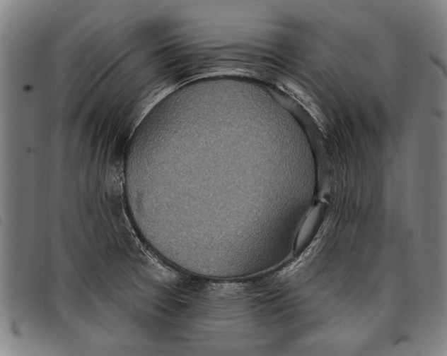 X0000097811377200804041327