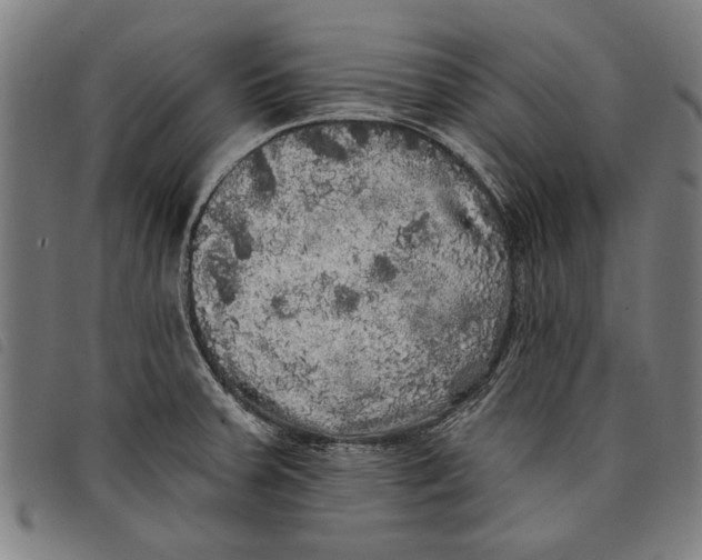 X0000097811379200804041327