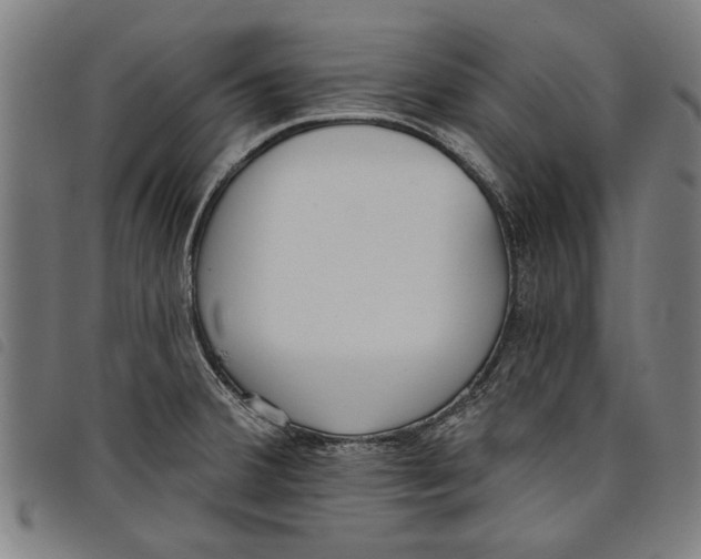 X0000097811380200804041327