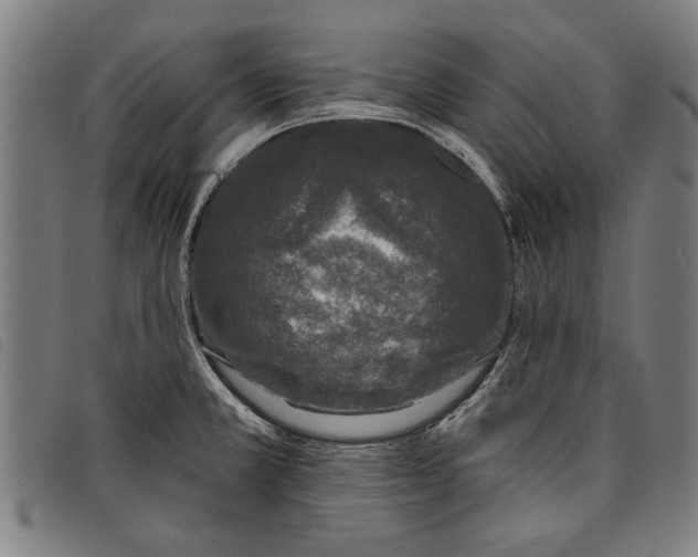 X0000097811381200804041327