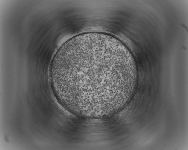 X0000097811382200804041327