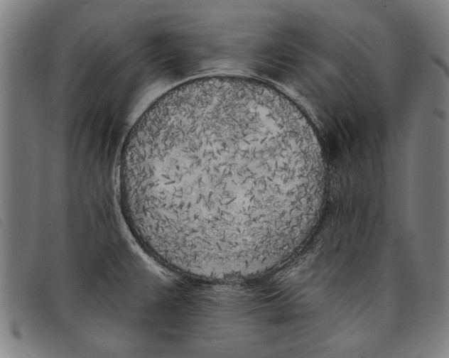 X0000097811383200804041327