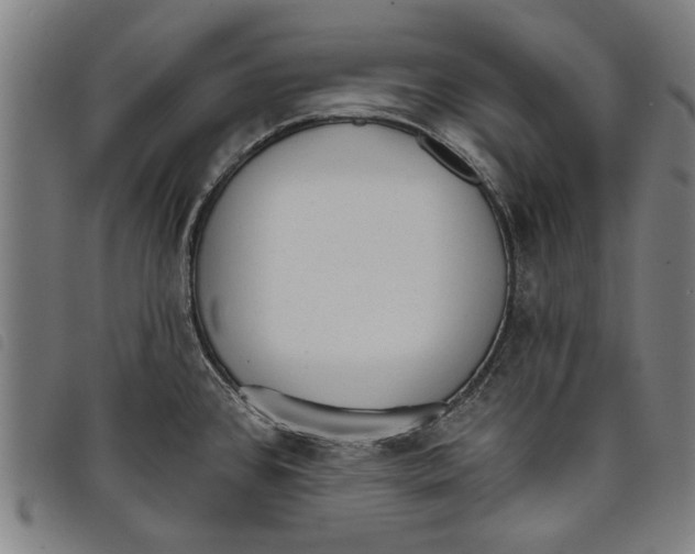 X0000097811384200804041327