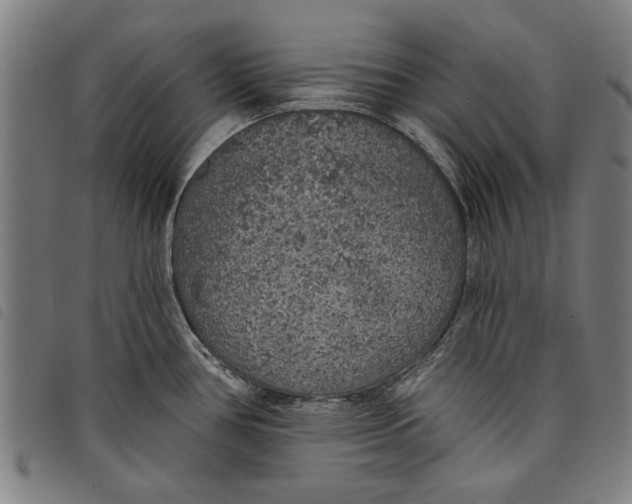 X0000097811386200804041327