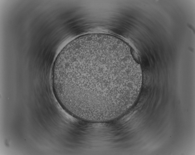 X0000097811387200804041327