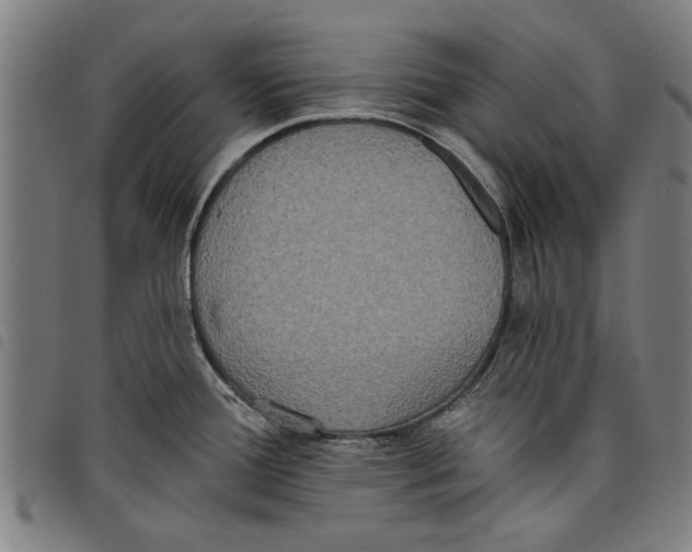 X0000097811388200804041327