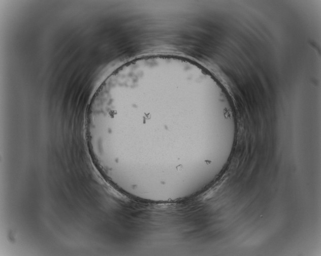 X0000097811390200804041327