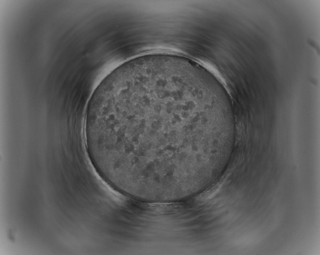 X0000097811391200804041327