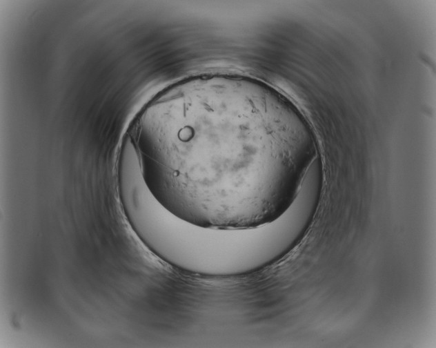 X0000097811392200804041327