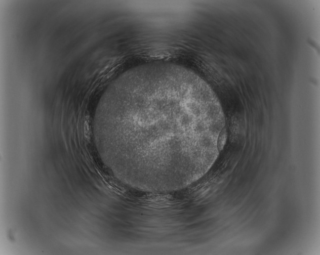 X0000097811394200804041326