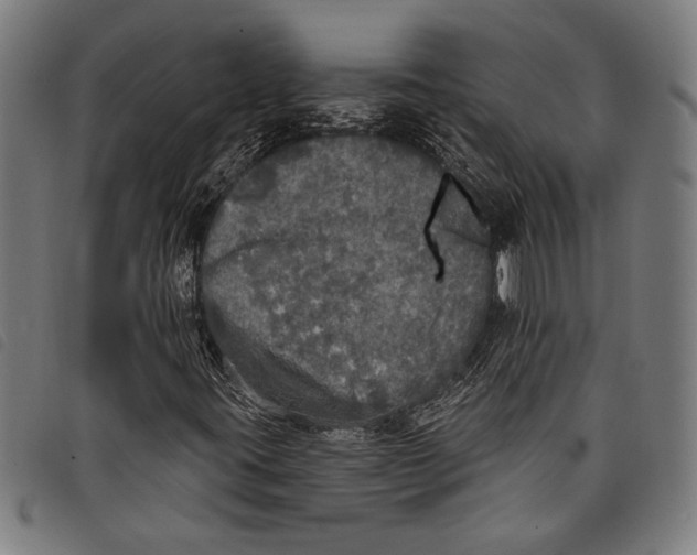 X0000097811395200804041326