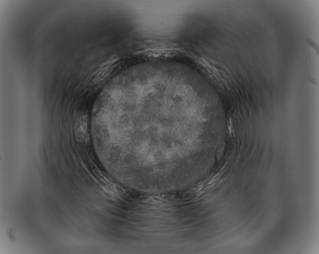 X0000097811396200804041326