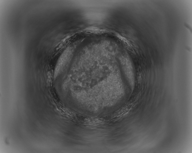 X0000097811397200804041326