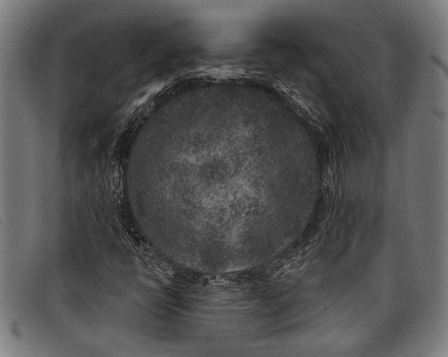 X0000097811398200804041326