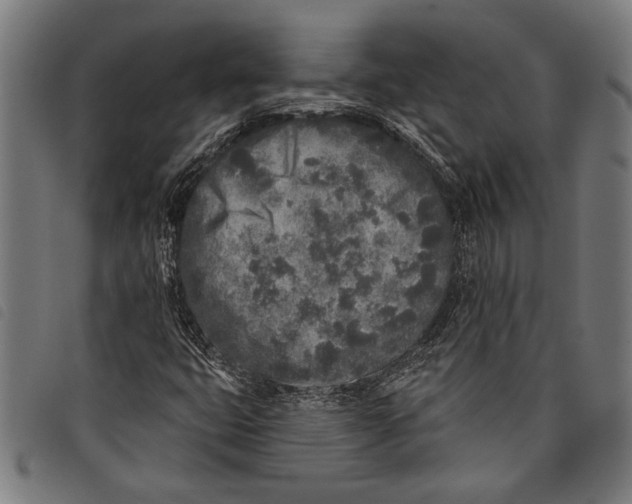 X0000097811399200804041326