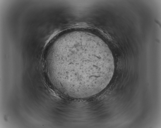 X0000097811400200804041326