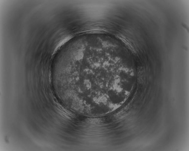 X0000097811402200804041326