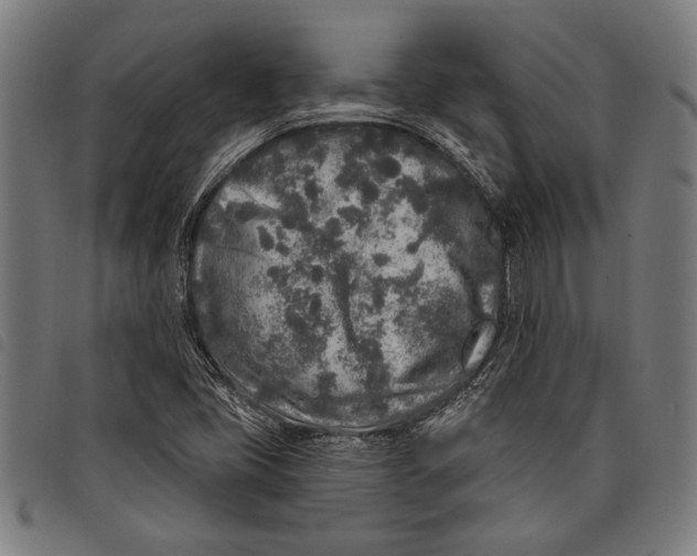 X0000097811405200804041326