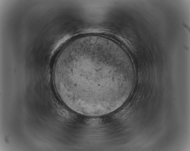 X0000097811406200804041326