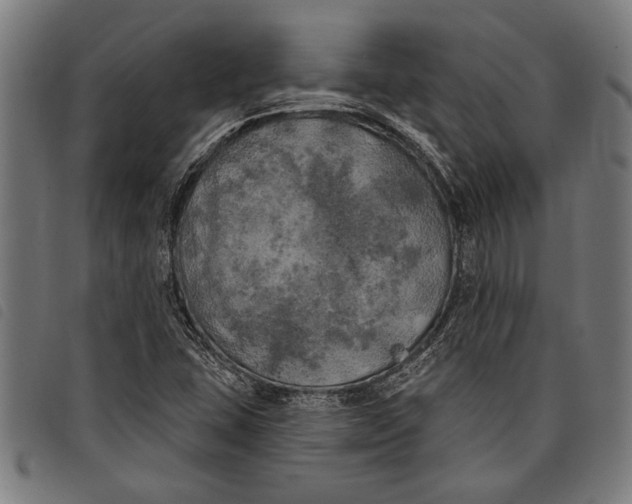 X0000097811407200804041326