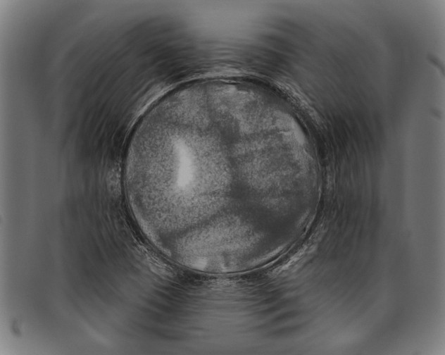 X0000097811409200804041326