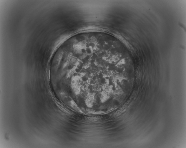 X0000097811413200804041326