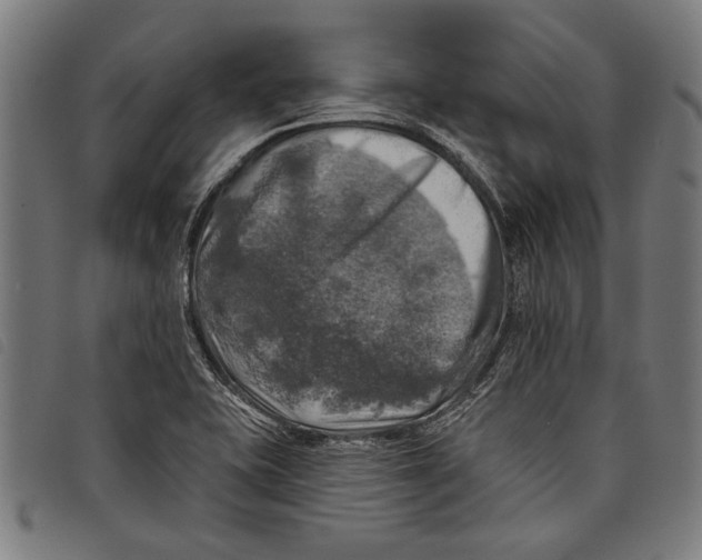 X0000097811415200804041326