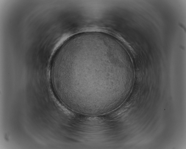 X0000097811416200804041326