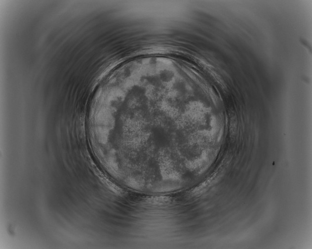 X0000097811417200804041326