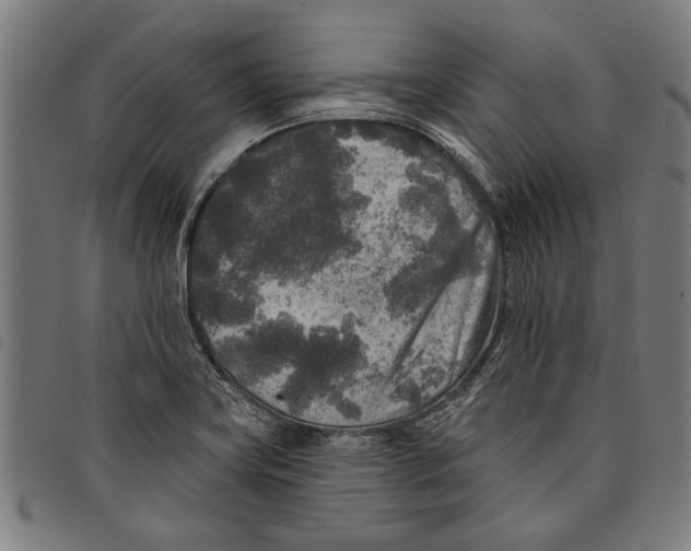 X0000097811419200804041326