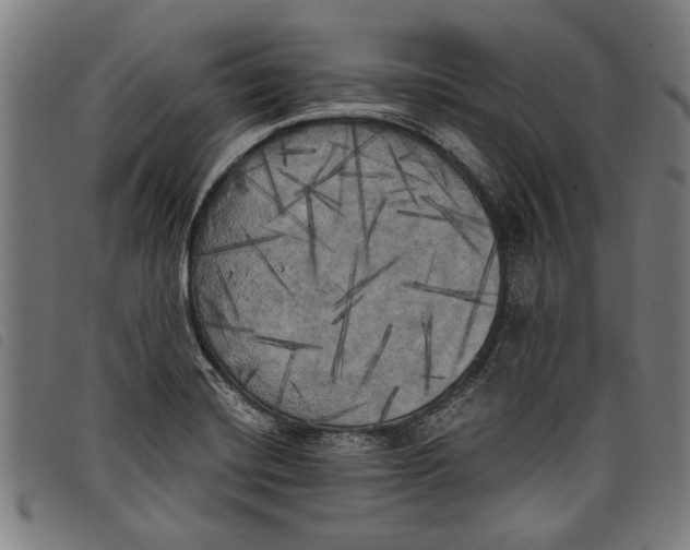 X0000097811420200804041326