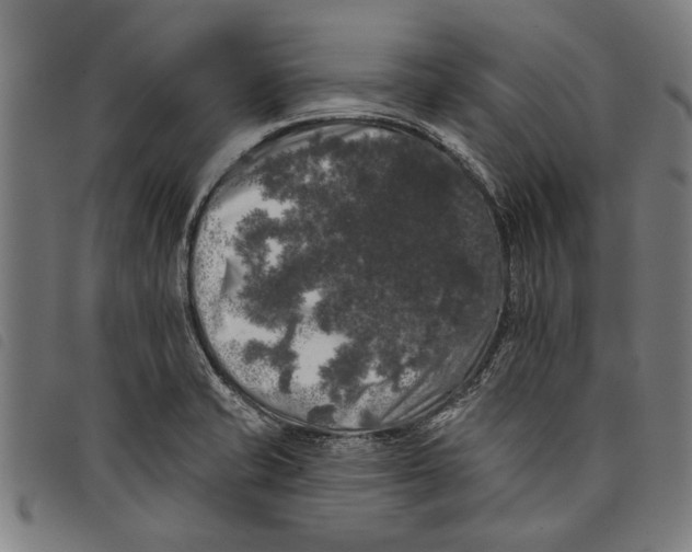 X0000097811421200804041326