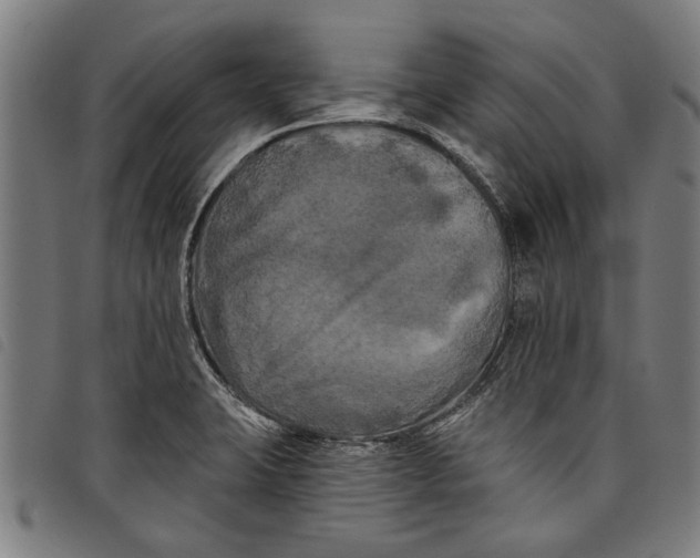 X0000097811423200804041326