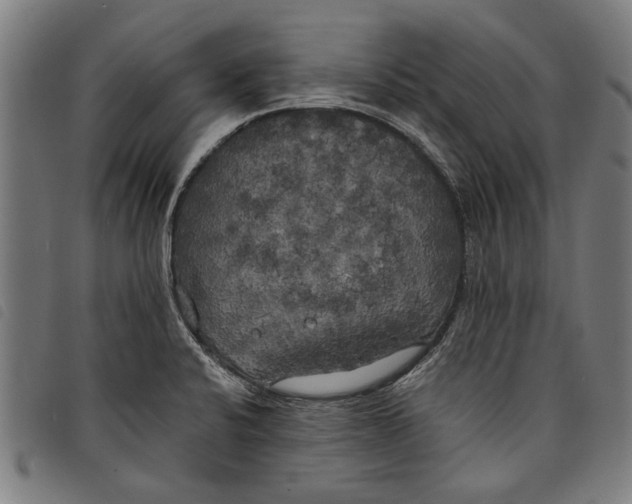 X0000097811424200804041326