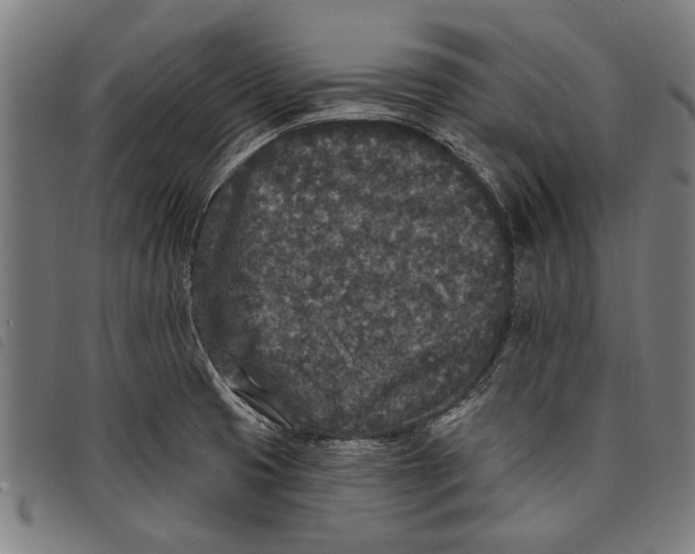 X0000097811425200804041326