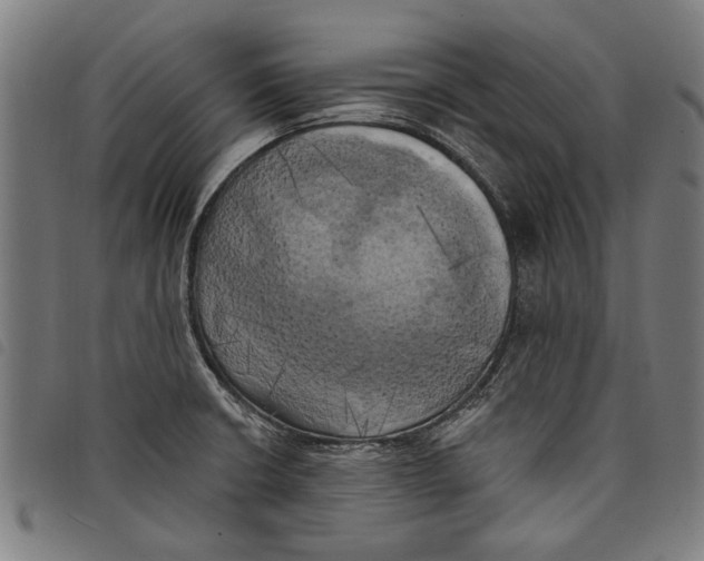 X0000097811426200804041326