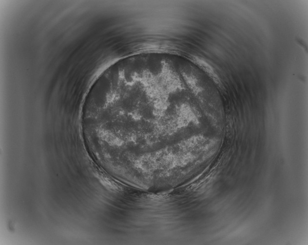 X0000097811427200804041326