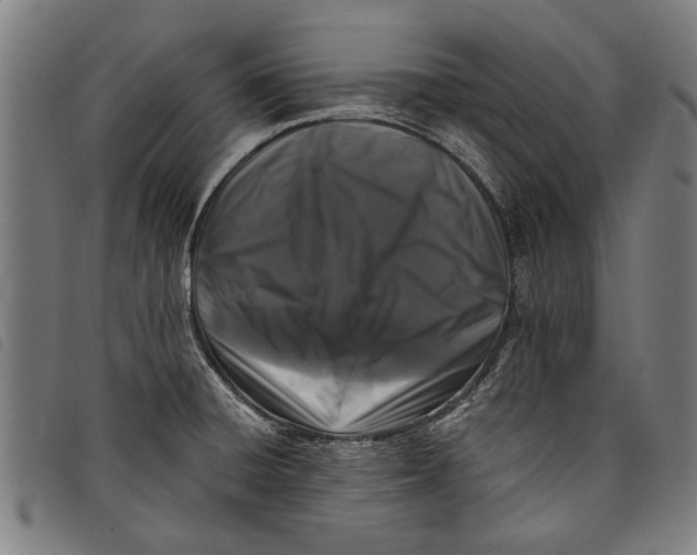 X0000097811428200804041326