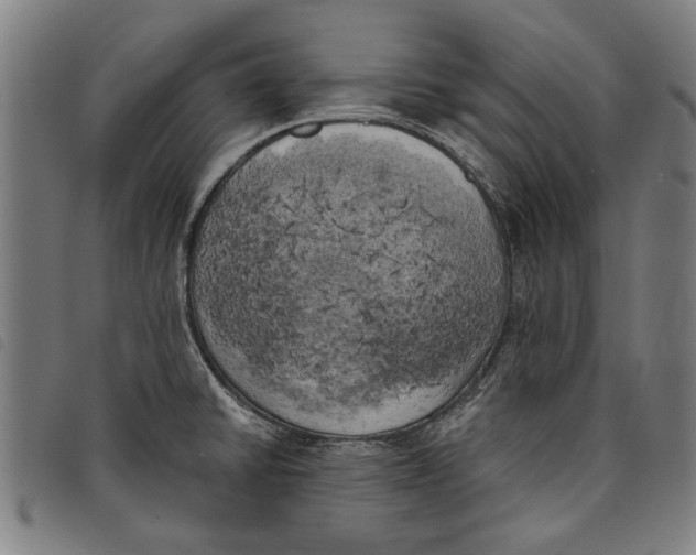 X0000097811430200804041326