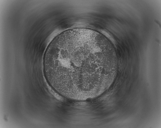 X0000097811431200804041326