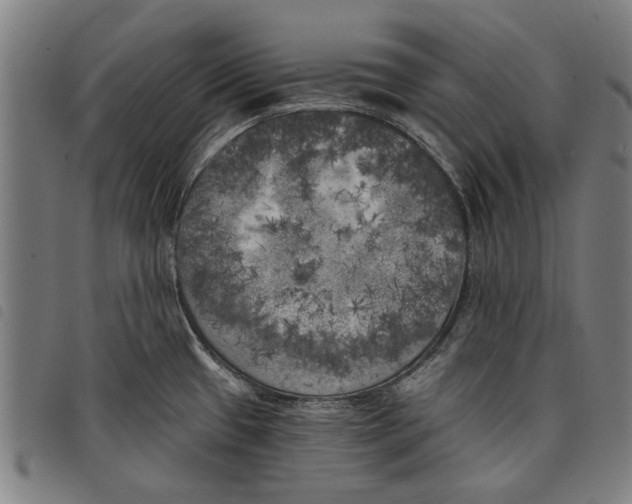 X0000097811433200804041326