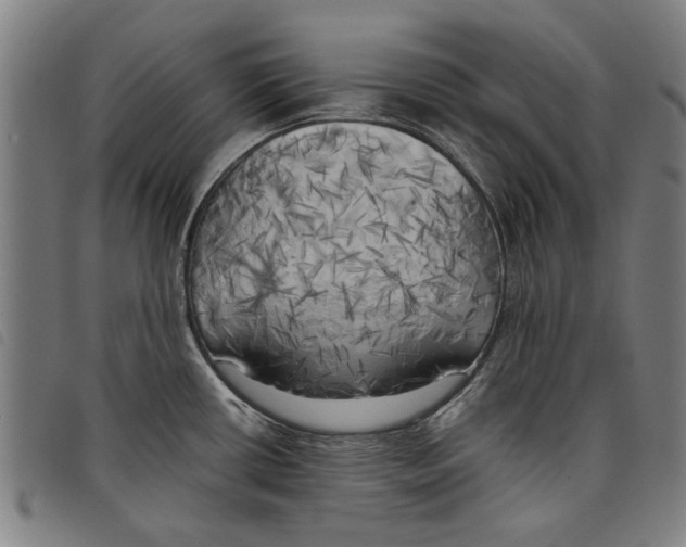 X0000097811434200804041326