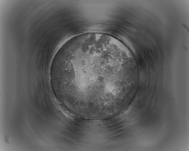 X0000097811435200804041326